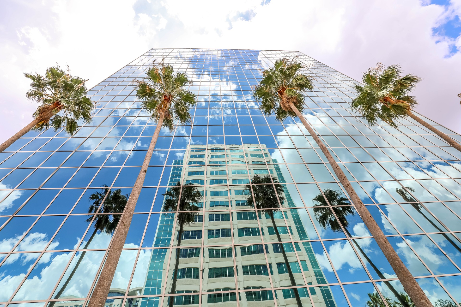 Looking upward at palm trees and a modern tall office building with blue sky and reflections of puffy white clouds in Florida