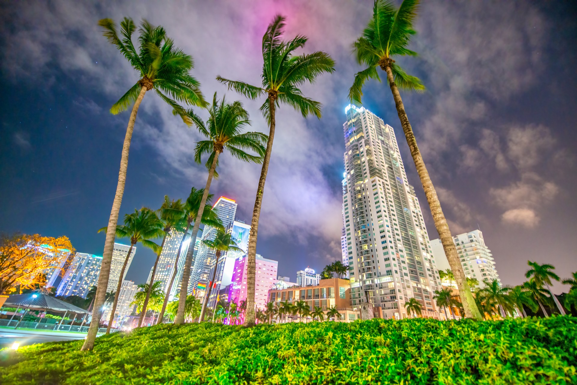 Downtown Miami buildings and skyscrapers at night from Bayfront Park